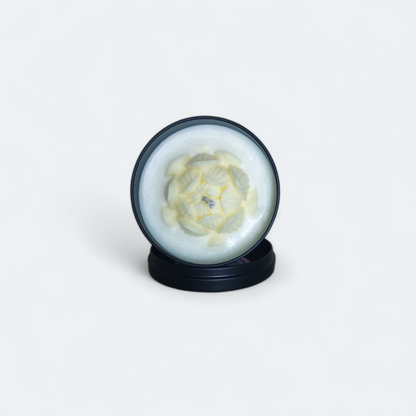 Coconut & Shea Scented Candle